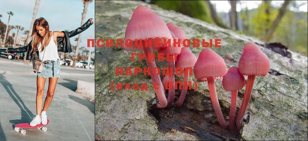 прущие крисы Медвежьегорск