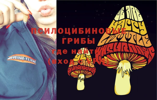 apvp Абаза