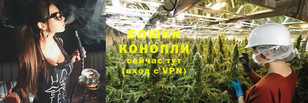 герыч Болотное