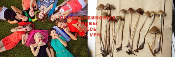 мефедрон Медногорск