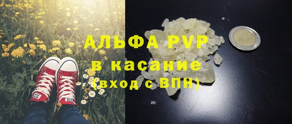 прущие крисы Медвежьегорск