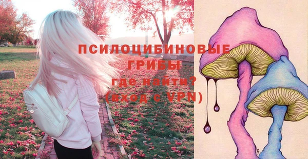 прущие крисы Медвежьегорск