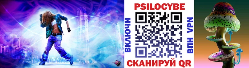Псилоцибиновые грибы мицелий  закладка  Мытищи 