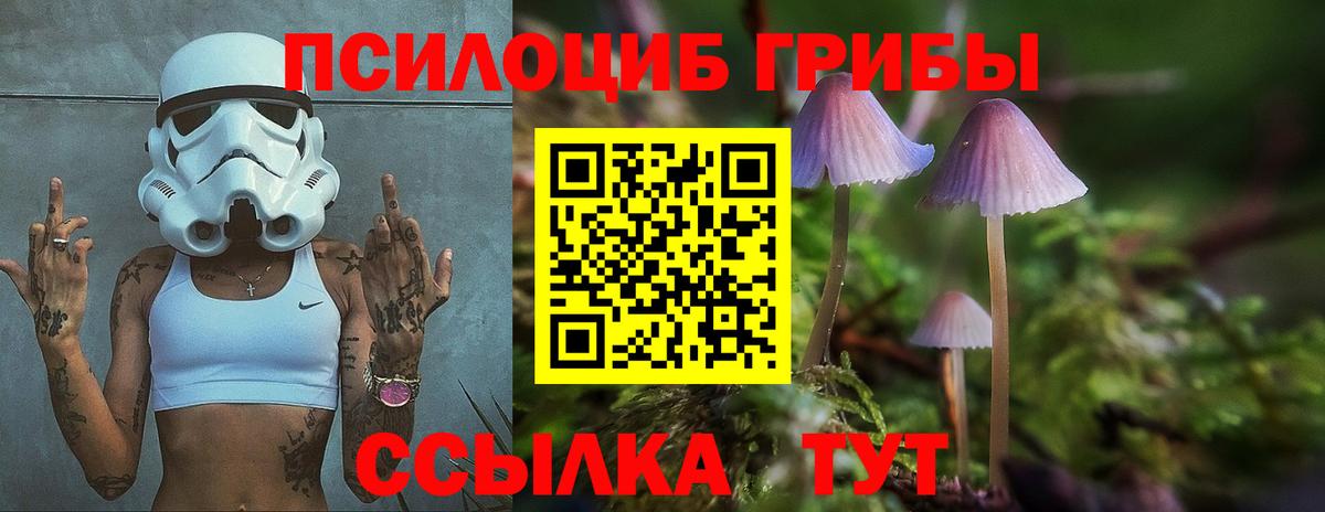 Псилоцибиновые грибы Psilocybe Мытищи
