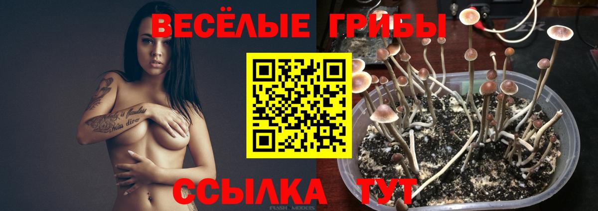 Мытищи  Псилоцибиновые грибы мухоморы  Вход с VPN 