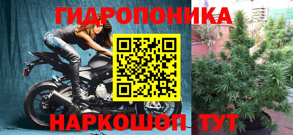 Шишки марихуана индика  Каннабис SATIVA & INDICA  Вход с VPN  Бошки Шишки Amnesia  Мытищи 